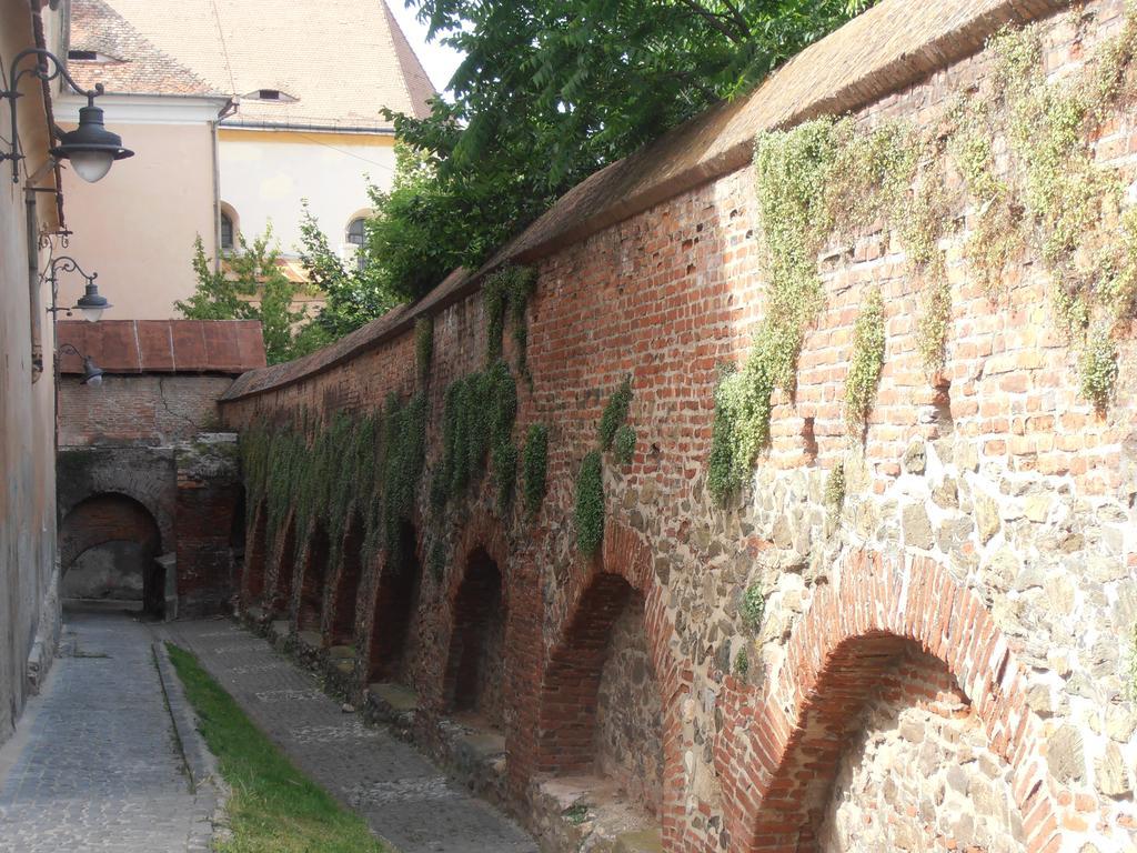 Gothic House Apartment Sibiu Bagian luar foto