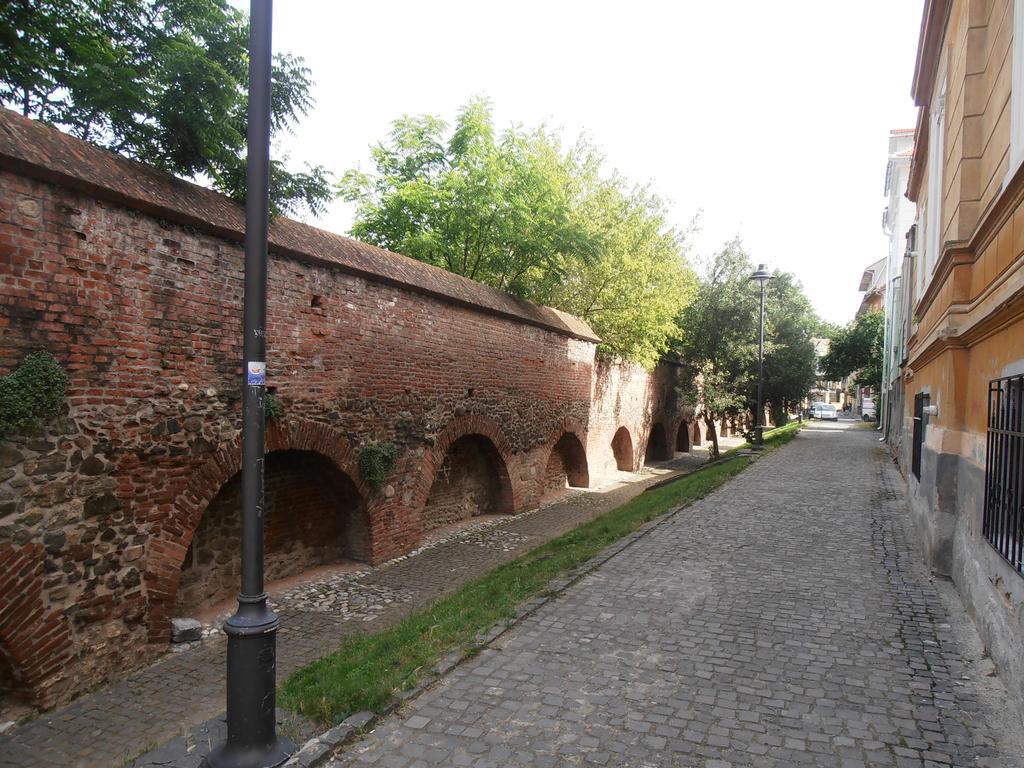 Gothic House Apartment Sibiu Bagian luar foto